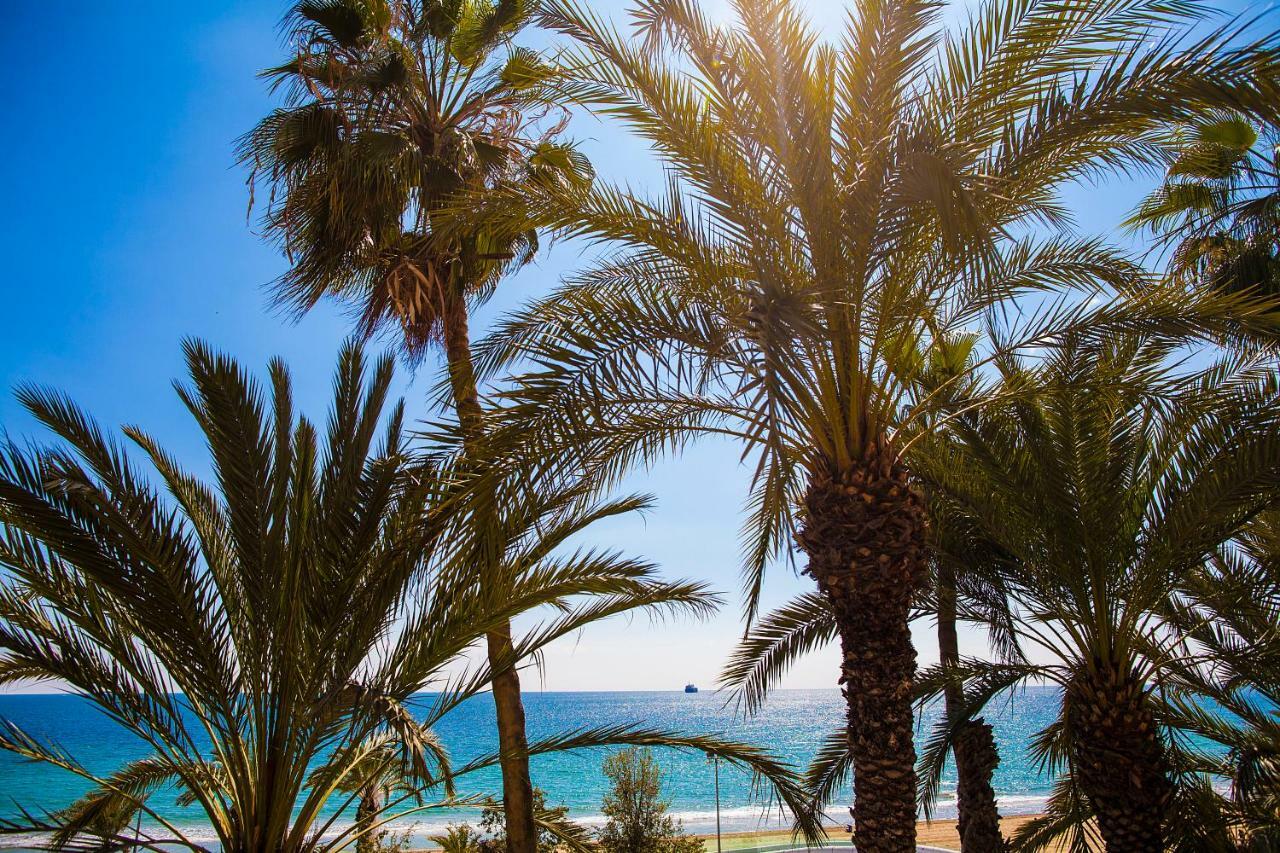 Apartment Near The Beach Alicante Exterior photo